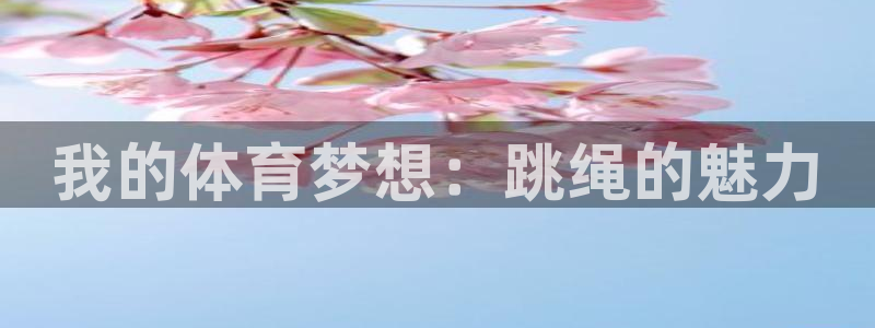 vsport体育
