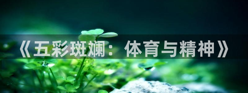 vsport体育在线官网